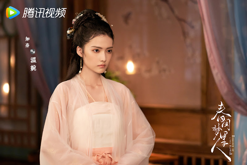 Romance of a Twin Flower China Web Drama